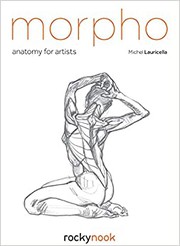 Morpho : Anatomy for Artists